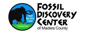 Fossil 